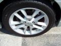 Radiant Silver Metallic - Maxima 3.5 SV Photo No. 4