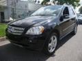 Black - ML 350 4Matic Photo No. 1