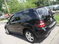 Black - ML 350 4Matic Photo No. 18