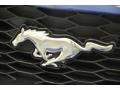 2008 Vista Blue Metallic Ford Mustang GT Premium Coupe  photo #17