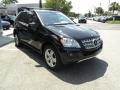 Black - ML 350 Photo No. 5