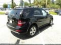 Black - ML 350 Photo No. 7
