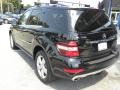 Black - ML 350 Photo No. 9