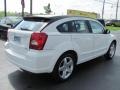 Stone White - Caliber R/T Photo No. 15