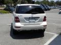 Arctic White - ML 350 Photo No. 8