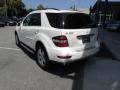 2011 Diamond White Metallic Mercedes-Benz ML 350  photo #9