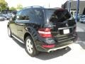 Black - ML 350 Photo No. 9