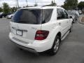 Arctic White - ML 350 4Matic Photo No. 17