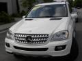 Arctic White - ML 350 4Matic Photo No. 24