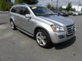 Iridium Silver Metallic 2010 Mercedes-Benz GL 550 4Matic Exterior