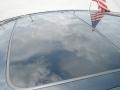 Smoky Granite Mica - GS 350 Photo No. 13
