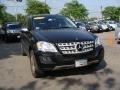 Black - ML 350 4Matic Photo No. 5