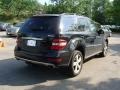 Black - ML 350 4Matic Photo No. 7