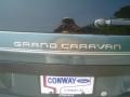 2005 Magnesium Pearl Dodge Grand Caravan SE  photo #8