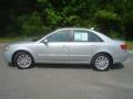 Radiant Silver - Sonata GLS Photo No. 10