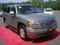 2001 Pewter Metallic GMC Yukon Denali AWD  photo #5
