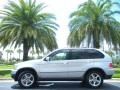 Titanium Silver Metallic - X5 3.0i Photo No. 1