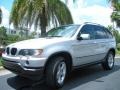 Titanium Silver Metallic - X5 3.0i Photo No. 2