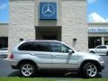 Titanium Silver Metallic - X5 3.0i Photo No. 5