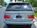 Titanium Silver Metallic - X5 3.0i Photo No. 7