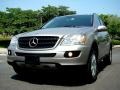 Pewter Metallic - ML 350 4Matic Photo No. 10