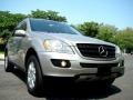Pewter Metallic - ML 350 4Matic Photo No. 15
