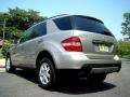 Pewter Metallic - ML 350 4Matic Photo No. 22