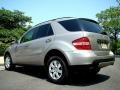Pewter Metallic - ML 350 4Matic Photo No. 23