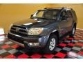 2004 Galactic Gray Mica Toyota 4Runner SR5 4x4  photo #2