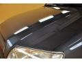 2004 Galactic Gray Mica Toyota 4Runner SR5 4x4  photo #22