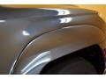 2004 Galactic Gray Mica Toyota 4Runner SR5 4x4  photo #30