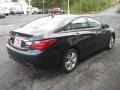 Pacific Blue Pearl - Sonata Limited 2.0T Photo No. 6