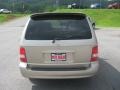 2004 Silky Beige Kia Sedona LX  photo #7