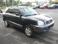Black Obsidian 2004 Hyundai Santa Fe Standard Santa Fe Model Exterior