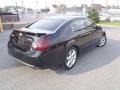 Onyx Black - Maxima 3.5 SE Photo No. 3