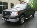 2005 Dark Stone Metallic Ford F150 XLT Regular Cab  photo #1