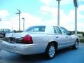 Silver Birch Metallic - Grand Marquis Palm Beach Edition Photo No. 5