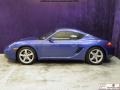 Cobalt Blue - Cayman  Photo No. 5