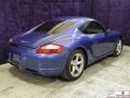 Cobalt Blue - Cayman  Photo No. 19