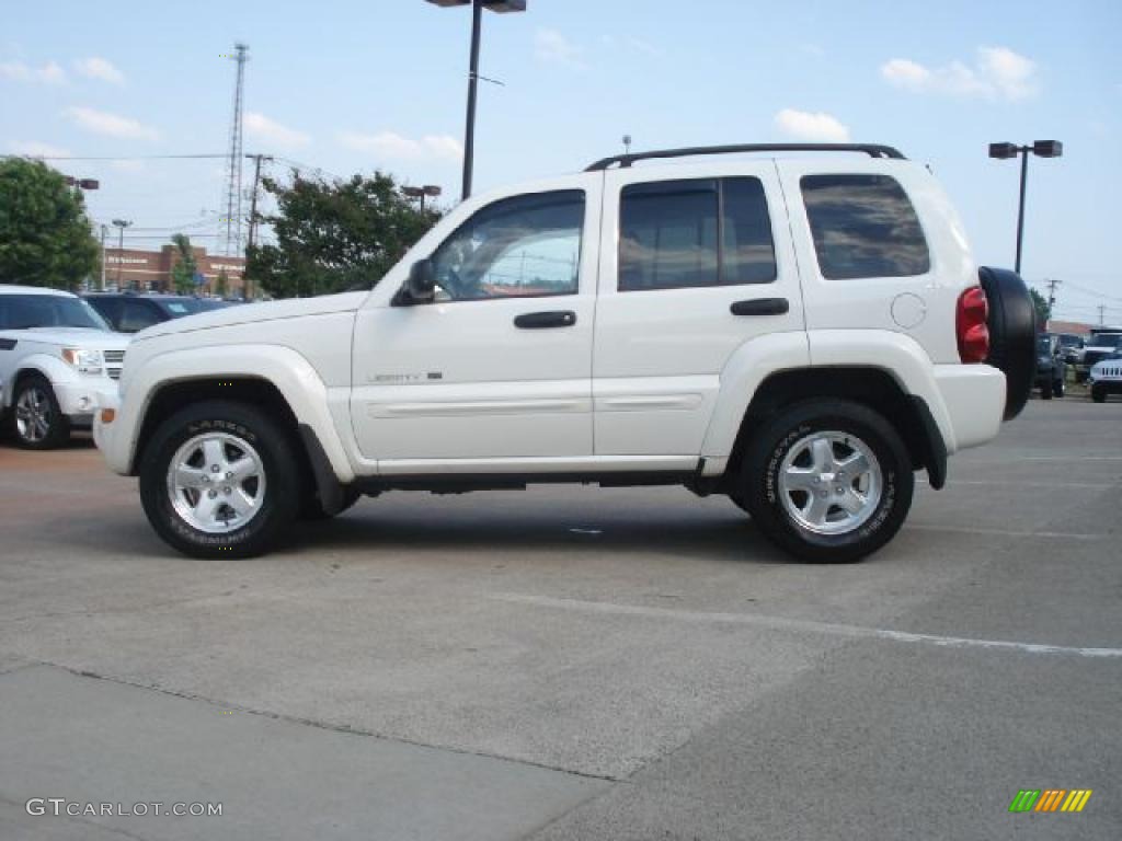 2002 Liberty Limited 4x4 - Stone White / Taupe photo #6