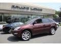 2009 Brandywine Mica Lexus RX 350 AWD  photo #1