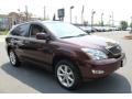 2009 Brandywine Mica Lexus RX 350 AWD  photo #7