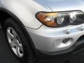 Titanium Silver Metallic - X5 3.0i Photo No. 2