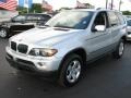 Titanium Silver Metallic - X5 3.0i Photo No. 5