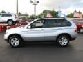 Titanium Silver Metallic - X5 3.0i Photo No. 6