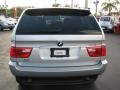 Titanium Silver Metallic - X5 3.0i Photo No. 9