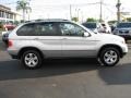 Titanium Silver Metallic - X5 3.0i Photo No. 12