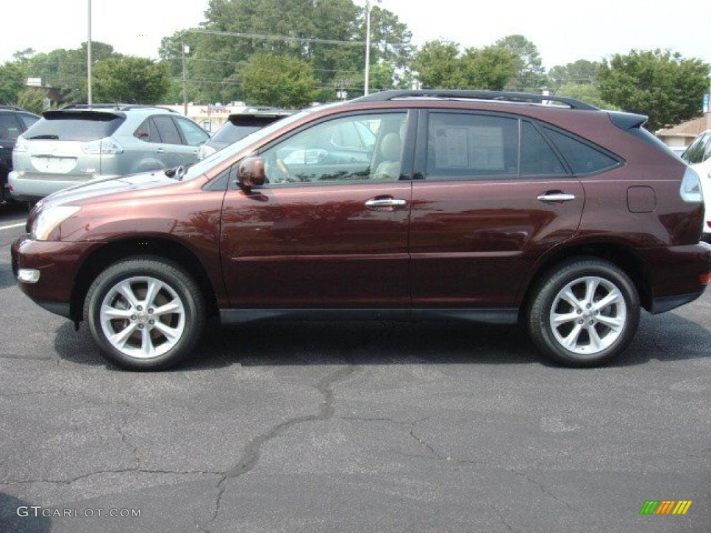 Brandywine Mica 2009 Lexus RX 350 AWD Exterior Photo #49891670