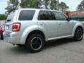 2010 Ingot Silver Metallic Ford Escape XLT Sport Package  photo #3