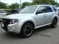 Ingot Silver Metallic - Escape XLT Sport Package Photo No. 6